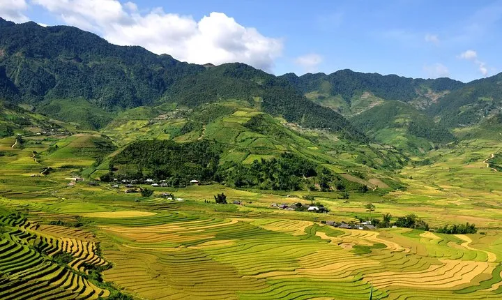 5days 4nights Lan Ha Bay-Sapa-Ninh Binh=>Free Airport Transfer &Street food tour