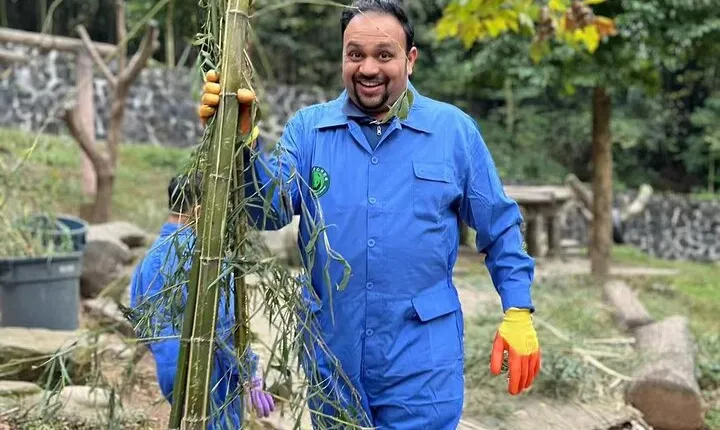 Panda Volunteering Experience at Dujiangyan or Wolong Panda Base