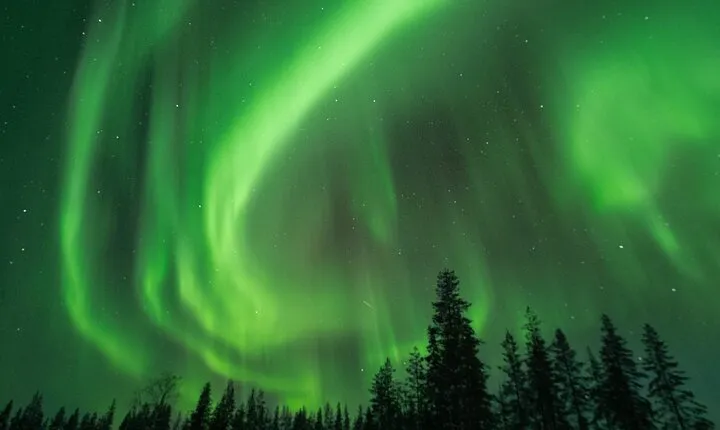 Rovaniemi: Insider Christmas and New Year Family Package