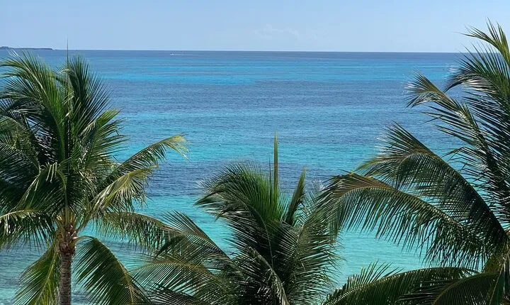Half-Day Private Day Trip From Akumal to Cancun