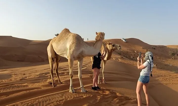 Private Morning Desert Safari Dubai with Dune Bashing & Sandboard