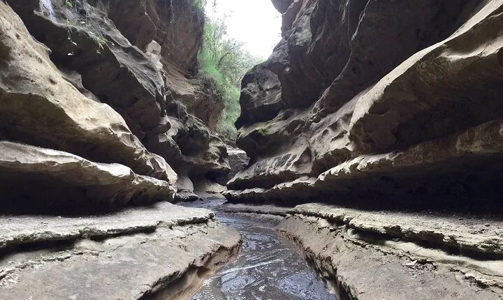 Hells Gate National Park & Lake Naivasha Day Trip from Nairobi