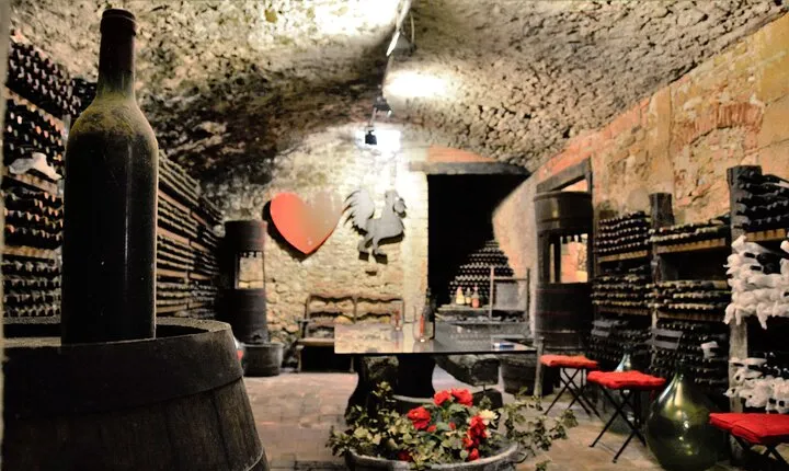 Private Tuscan Dinner Half Day from Florence