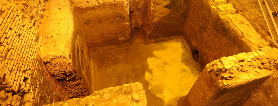 Trevi Fountain and Underground Domus Guided Tour