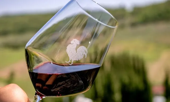 Day Tour from Florence with lunch and wine-tasting in Chianti
