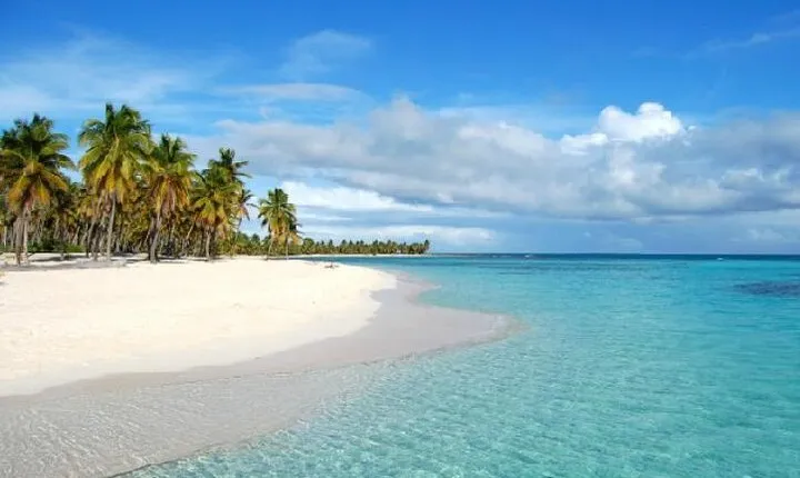 Saona Full-Day Trip from bavaro: Canto Beach and Mano Juan