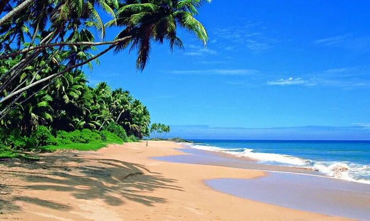Sri Lanka Classic Tour