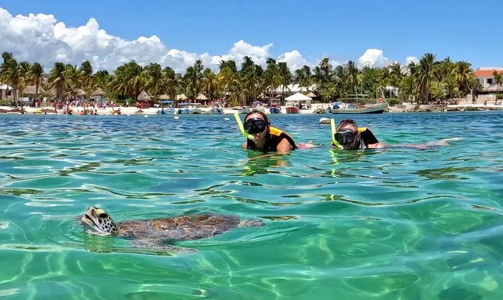 Akumal; Snorkeling and Photos with Turtles