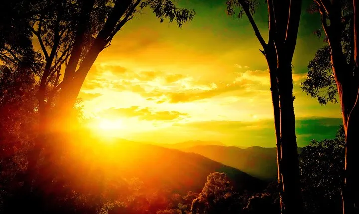 Blue Mountains Day, Sunset Tour & Glow Worms Night Adventure