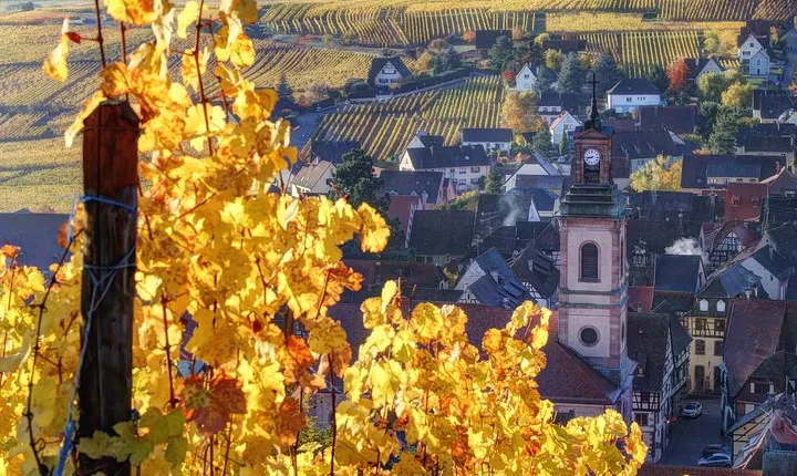 Alsace Half Day Wine Tour from Colmar