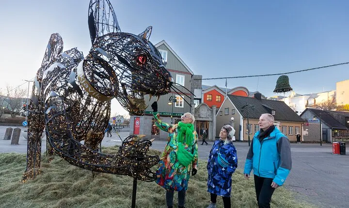 Private Reykjavik Christmas Walking Tour