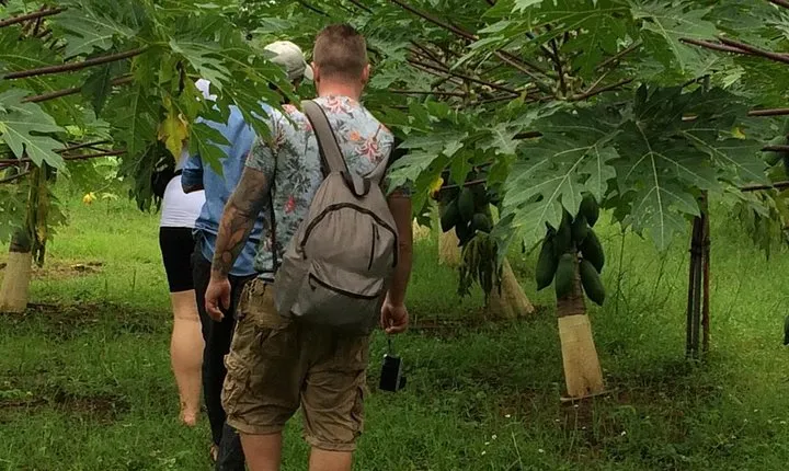 Traditional Village Tour