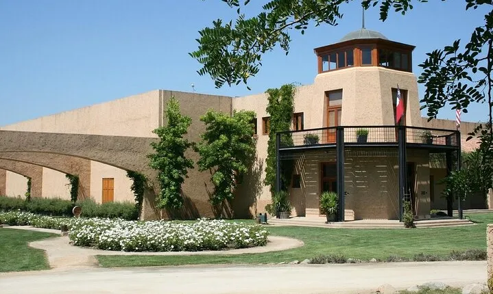 Private Valparaiso Visit William Cole Winery & Transfer to Hotel