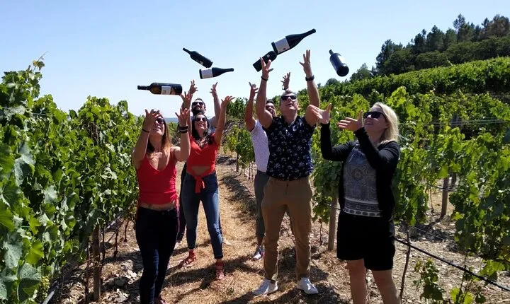 Douro Valley Small-Group Tour with Wine Tasting, Lunch and Boat