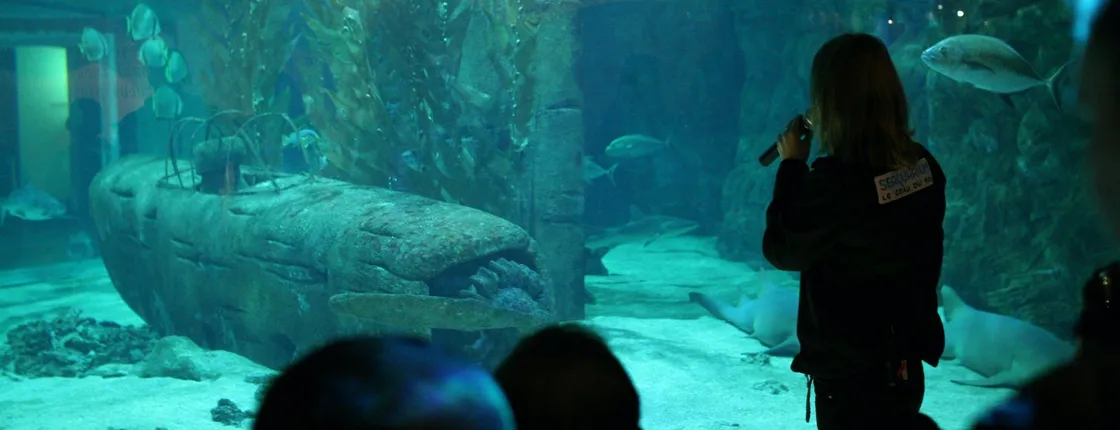 Skip-the-line ticket for the Seaquarium