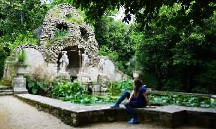 Panorama Dubrovnik & Arboretum Trsteno PRIVATE TOUR