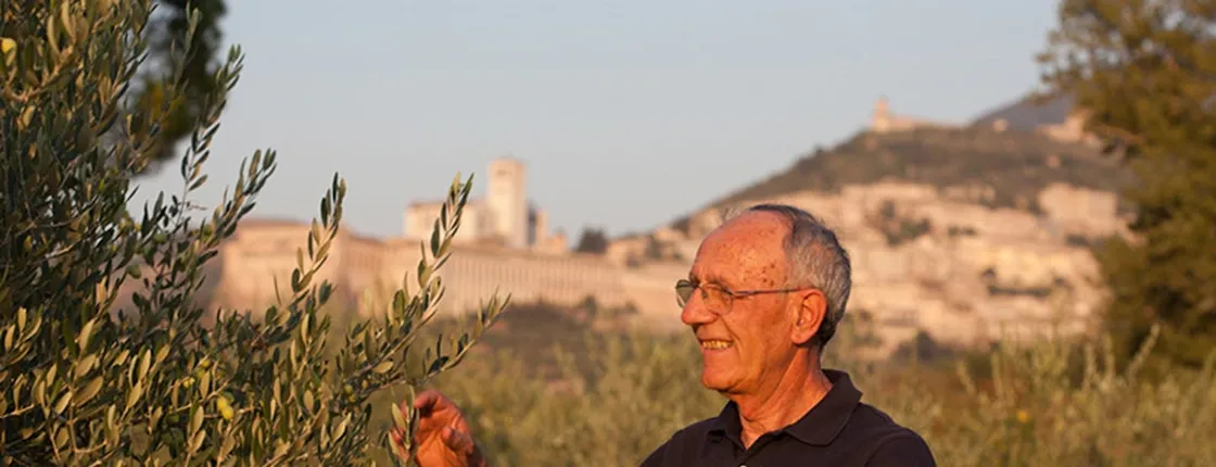 Assisi vineyard picnic and wine tasting