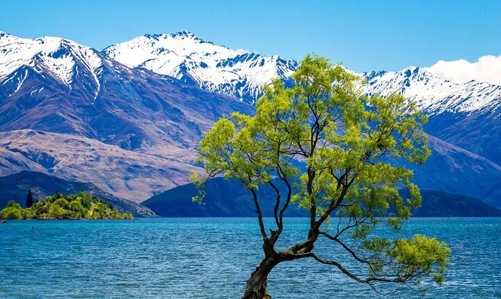 Wanaka Private Day Trip from Queenstown: TravelnGo