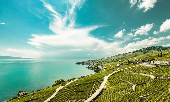 Vevey, Montreux, Chillon Day Trip from Geneva
