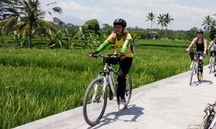 Bali Mountains and Villages Cycling Tour