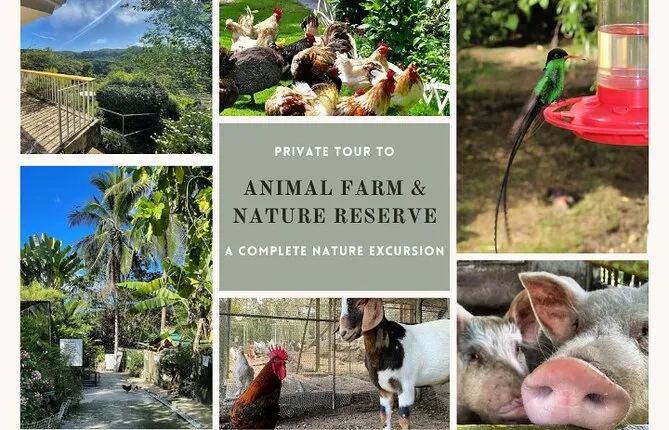 Private Tour to Animal Farm & Nature Reserve
