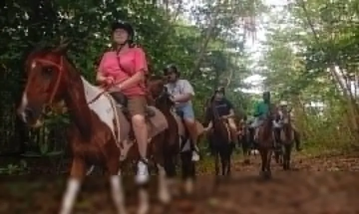 East Coast Horseback Riding & Waterfall Excursion