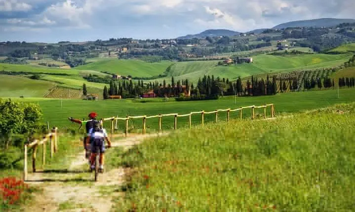 Private Ebike Tour in Chianti