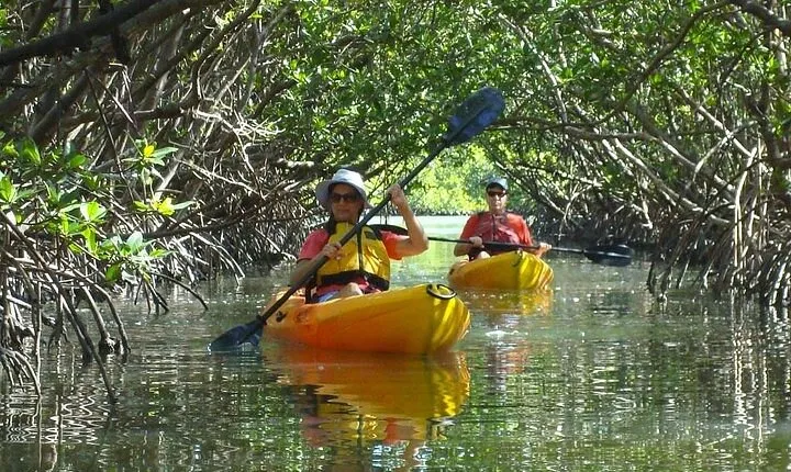 Half Day Kayak or SUP Rental (3hr) - Bunche Beach