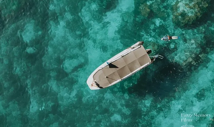 Coromandel Adventure and Wildlife Boat Tour to Aldermen Islands 