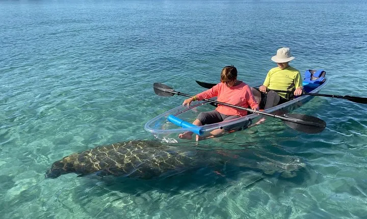 Guided Clear Kayak Eco-Tour of Jupiter