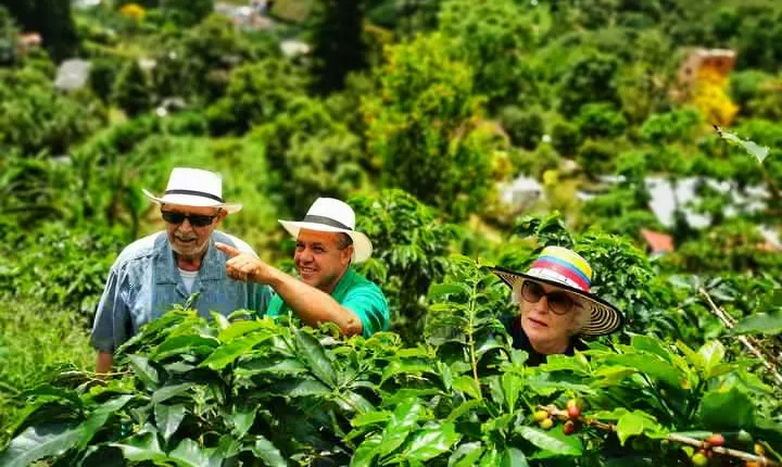 Coffee Tour in the Beautiful Jardin Town: Adventure in the Andes