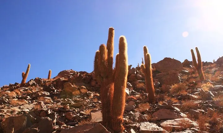 Hidden Waterfall Trekking in San Pedro de Atacama
