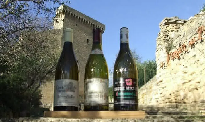 Small-Group Full-Day Private Wine Tour from Avignon