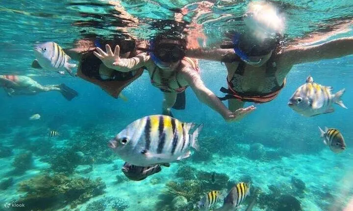 Sail to Orange Island Snorkeling Adventure, Water Sports & Lunch