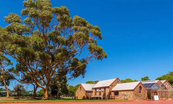 McLaren Vale and Glenelg Wine Tasting and Sightseeing (Half-day Afternoon)