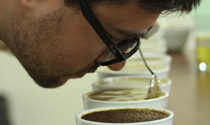 Private Coffee Tasting and Pairing Class