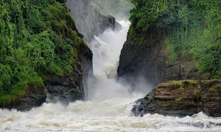 Private 3 Days Wildlife Safari at Uganda