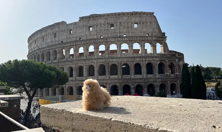 Colosseum and Ancient Rome Private Guided Tour and Ticket Entry