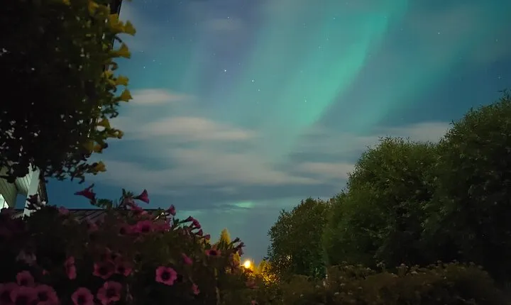 Autumn Aurora Tour in Rovaniemi with Local Guides