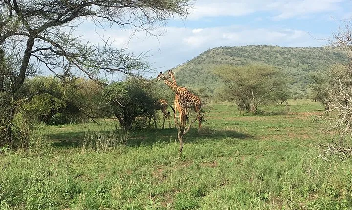 5 Days luxury serena