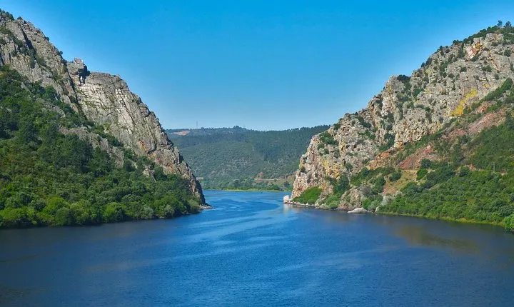 Full-Day Bird Watching Private Tour from Lisbon with Lunch