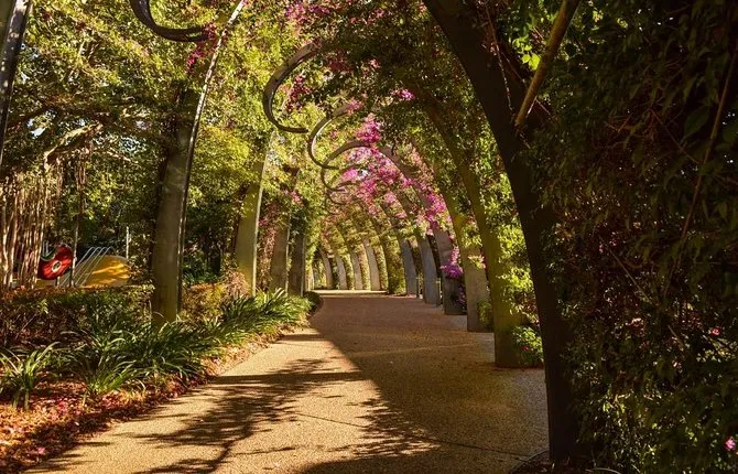 Brisbane Scavenger Hunt: Brisbane's South Bank!