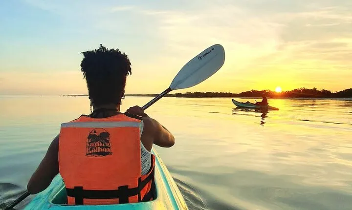 Kayak Mangroves Sunrise Experience