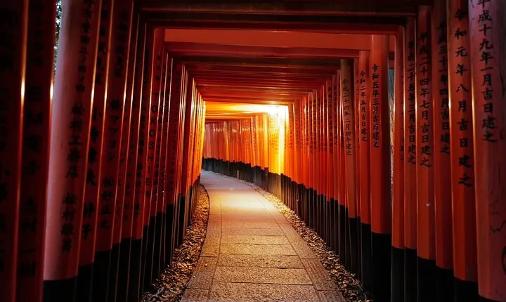 Kyoto Fushimi Inari Night Walking Tour