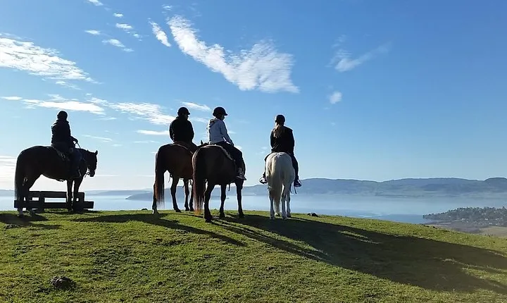 Guided Horse Trekking from Rotorua