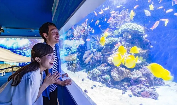 Yokohama Hakkeijima Sea Paradise Aqua Museum Ticket