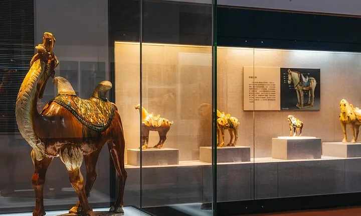 Luoyang Museum and Luoyang City Private Day Tour