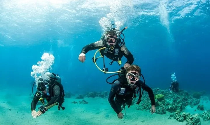 Marsa Mubarak Snorkel & Dive with Lunch & Transfers :Marsa Alam