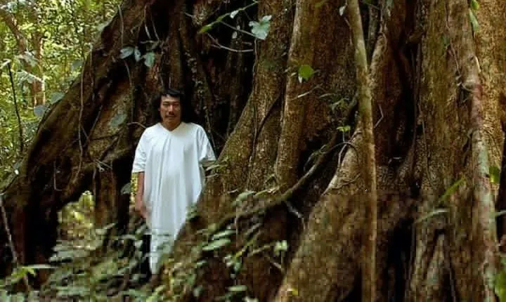 Lacandona Jungle 1 Day (hiking)