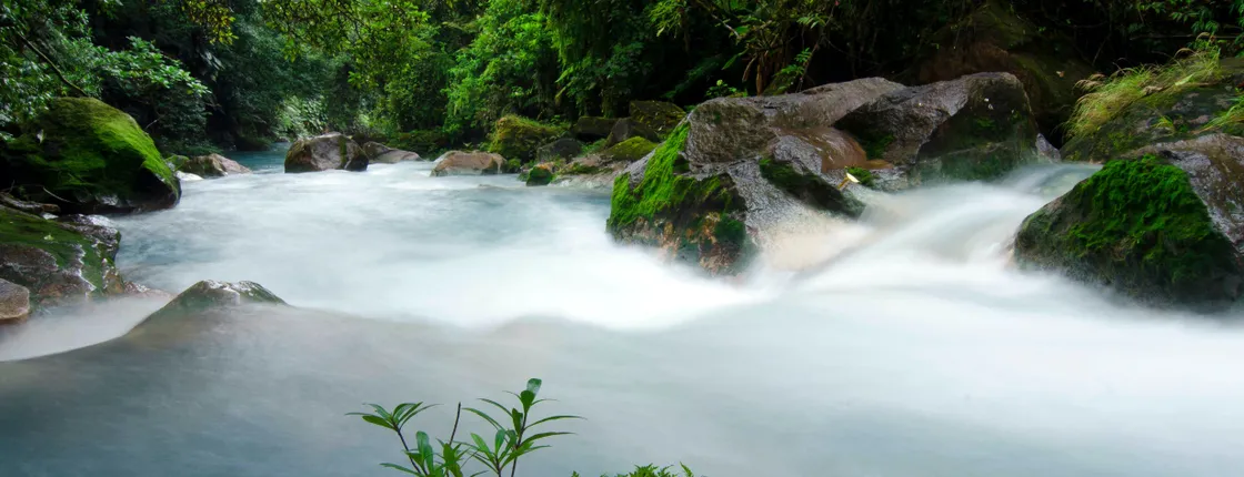 Hiking Tour in Tenorio Volcano National Park